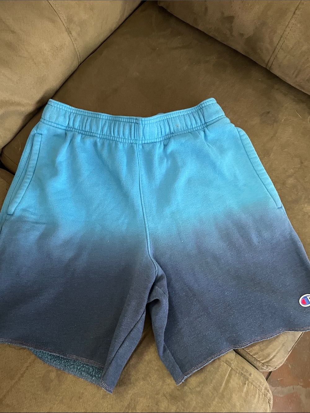 Champion Blue Ombre Fleece Shorts